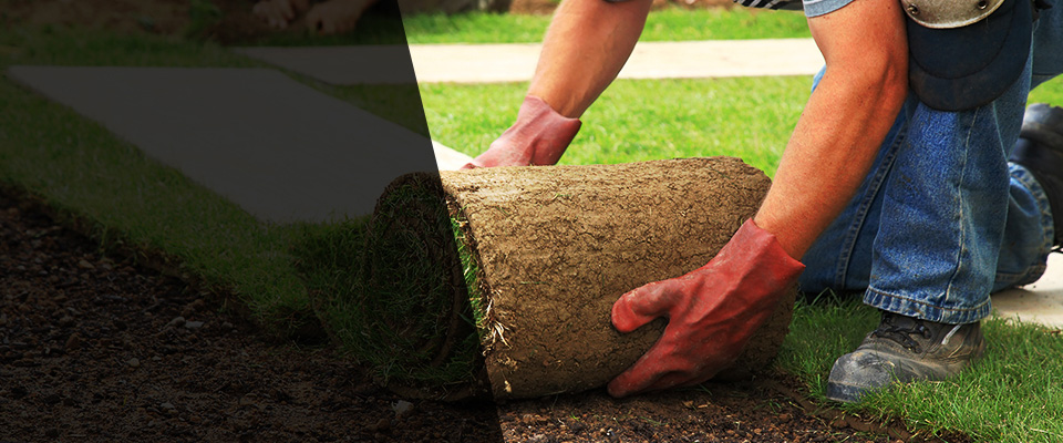 Frewsburg Landscapers